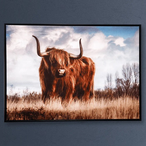 LONG HORN STEER CANVAS PRINT 27.5"L x 19.5"H