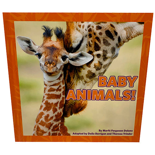 H/M BABY ANIMAL BOOK($9.95)NI