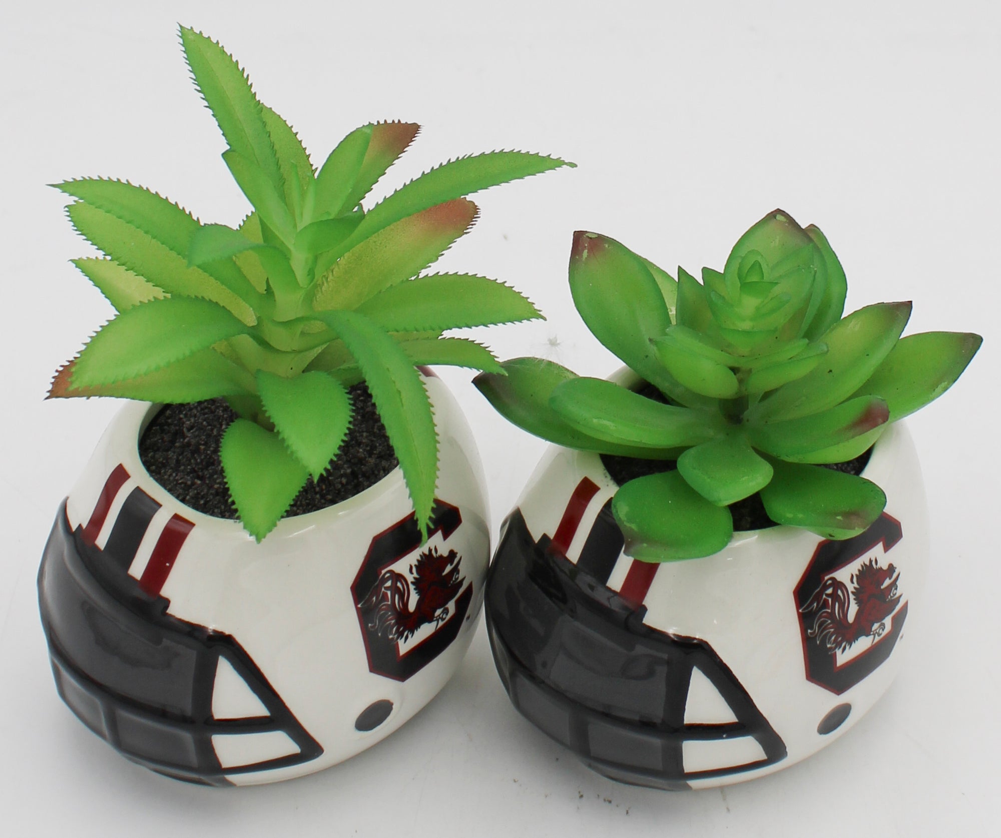 OFFICIALLY LICENCED SOUTH CAROLINA GAMECOCKS SMALL CERAMIC HELMET - WITH FAUX SUCCULENT
