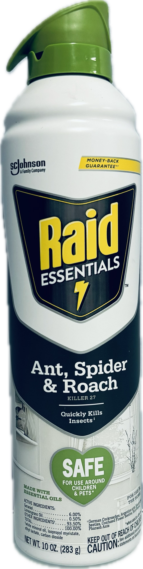 RAID ASSENTIAL ANT,SPIDER&ROACH KILLER 10oz