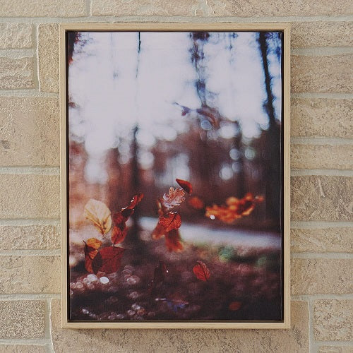 FLOATING LEAVES FRAMED CANVAS PRINT 11.5"L x 15.5"H x 1.25"D