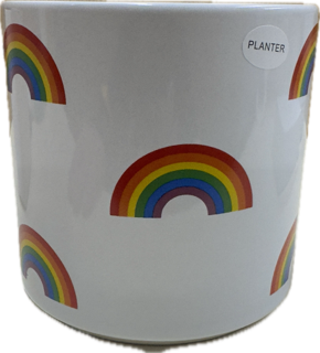 RAINBOW ICON PLANTER 4.5"