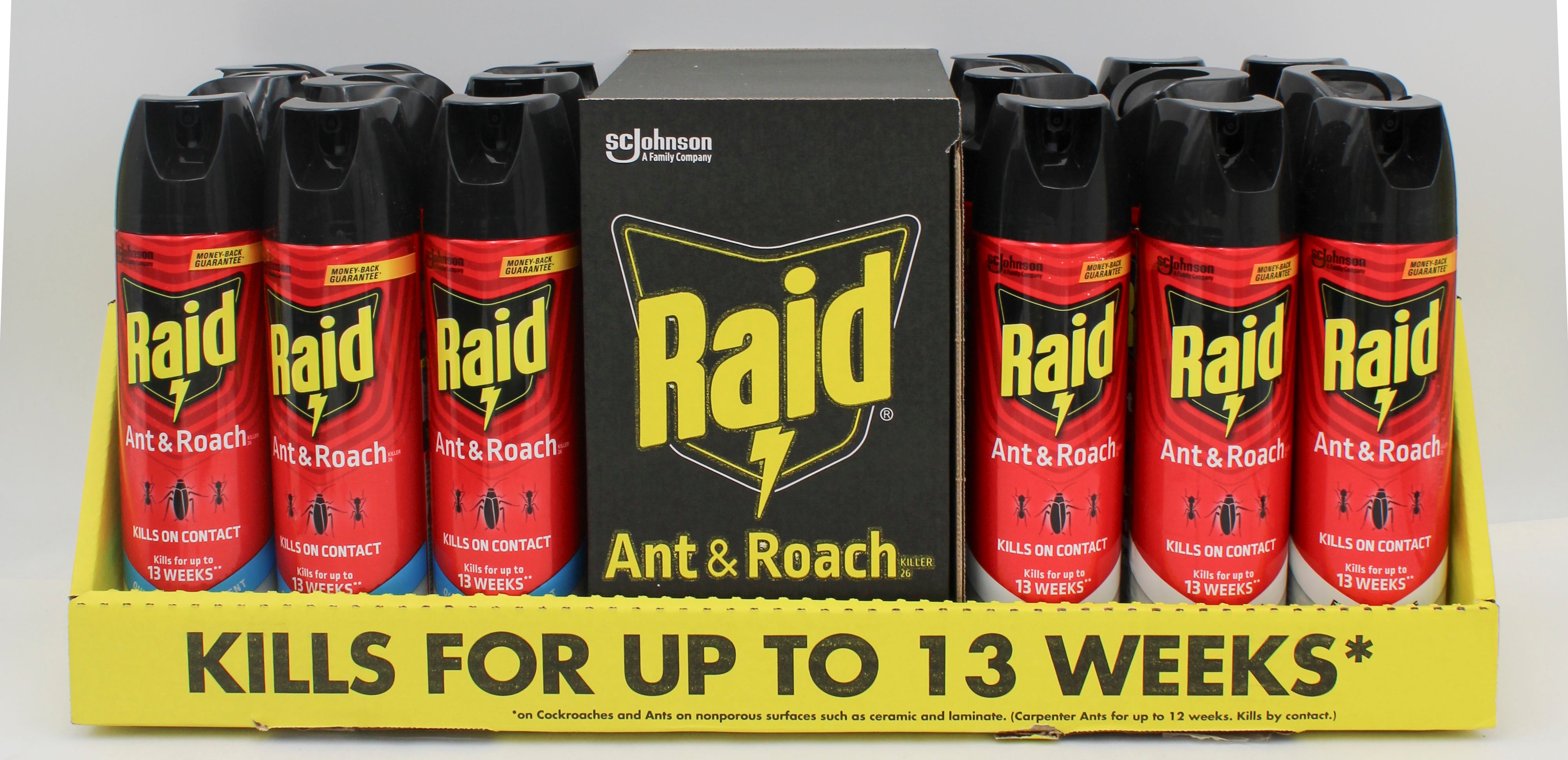 RAID ANT + ROACH AEROSOL 17.5oz PDQ