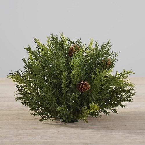 ARBORVITAE PUFF 6.5"Dia