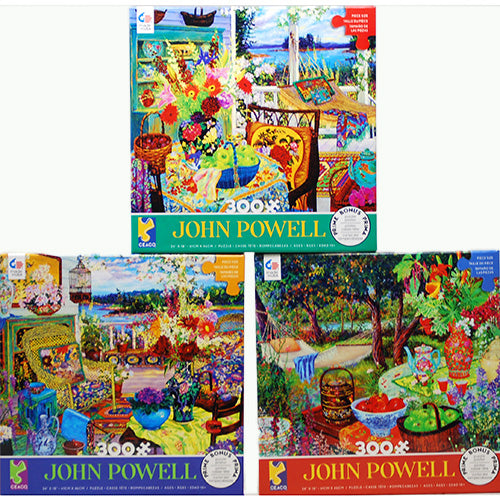 BOXED PUZZLE 300PC-JOHN POWELL ASST