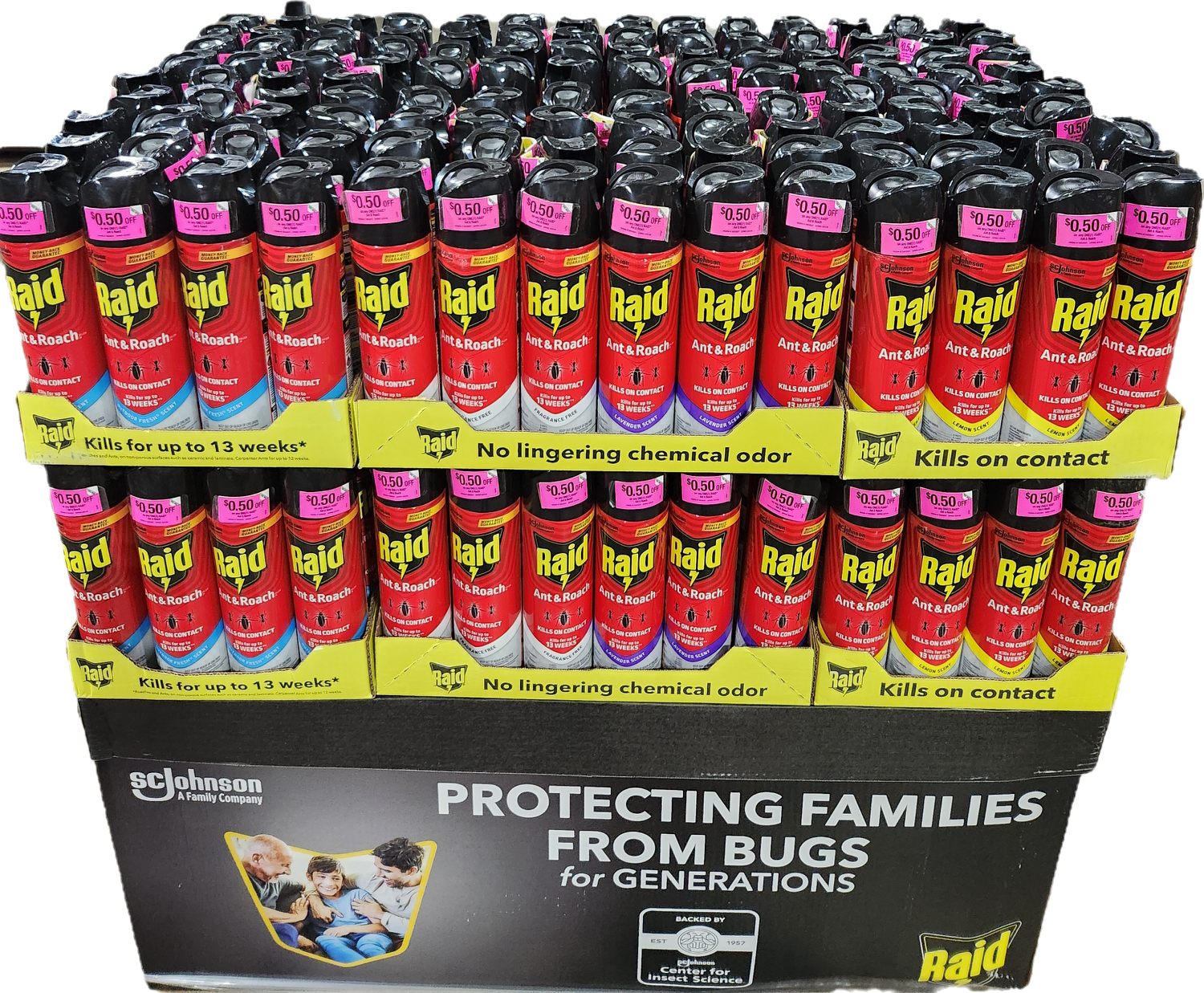 SP RAID ANT & ROACH KILLER 17.5oz ASSORTER DISPLAY WITH COUPON