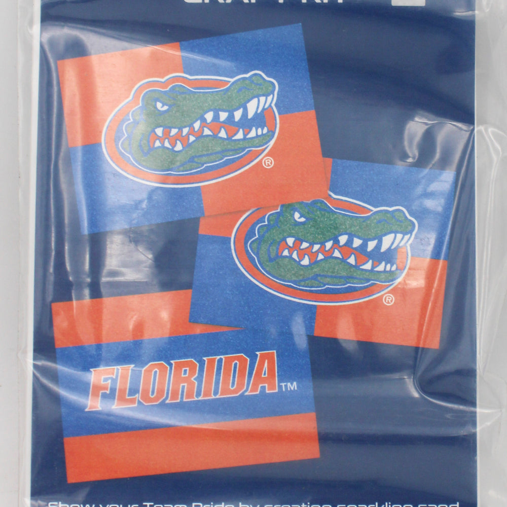 NCAA FLORIDA GATORS SAND ART CRAFT KIT