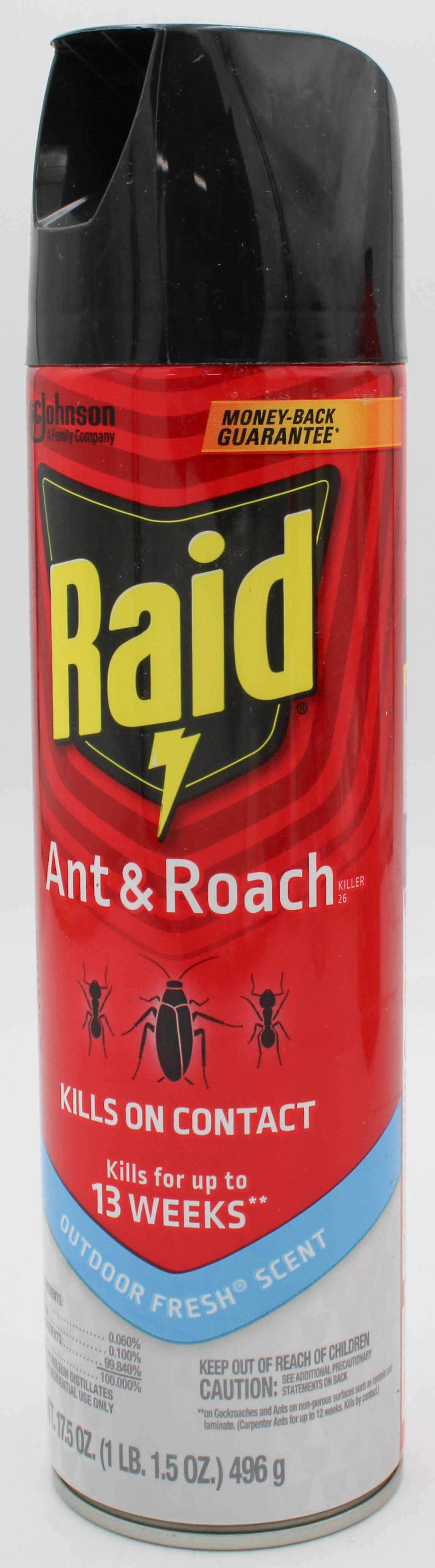 SP RAID ANT/ROACH 17.5oz-OUTDOOR FRESH.