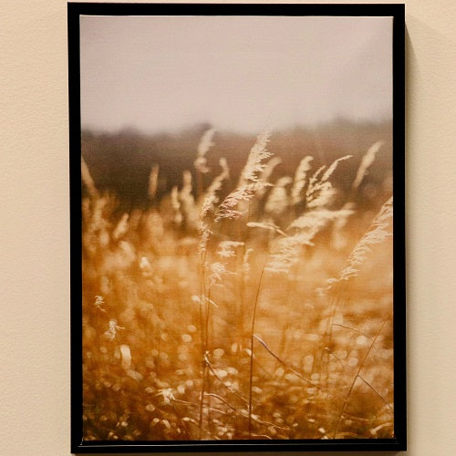 WHEAT FIELDS CANVAS PRINT 12"L x 16"H