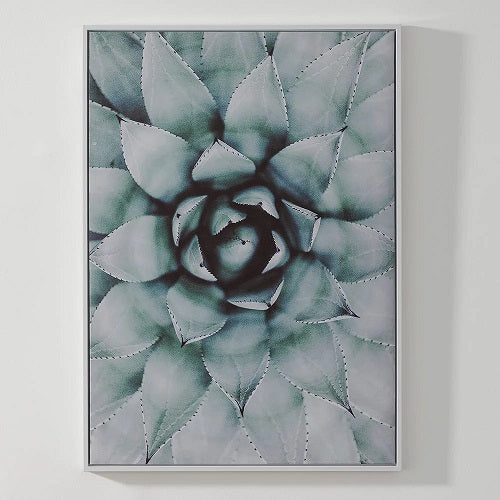 SUCCULENT CANVAS PRINT 19.5"L x 27.5"H