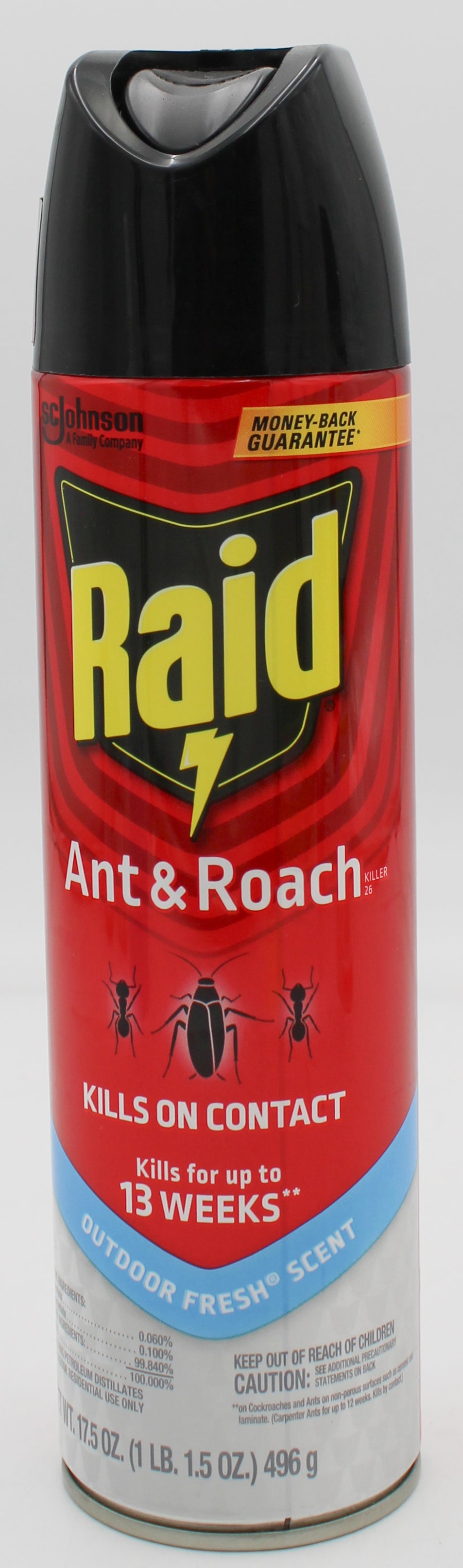 SP RAID ANT/ROACH 17.5oz-OUTDOOR FRESH WITH COUPON.