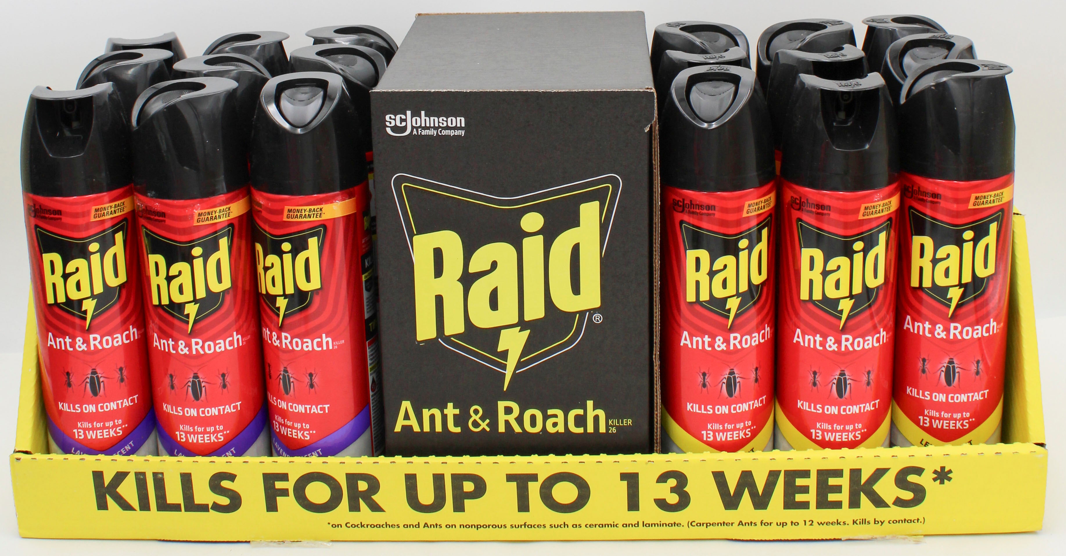 RAID ANT + ROACH AEROSOL 17.5oz PDQ.