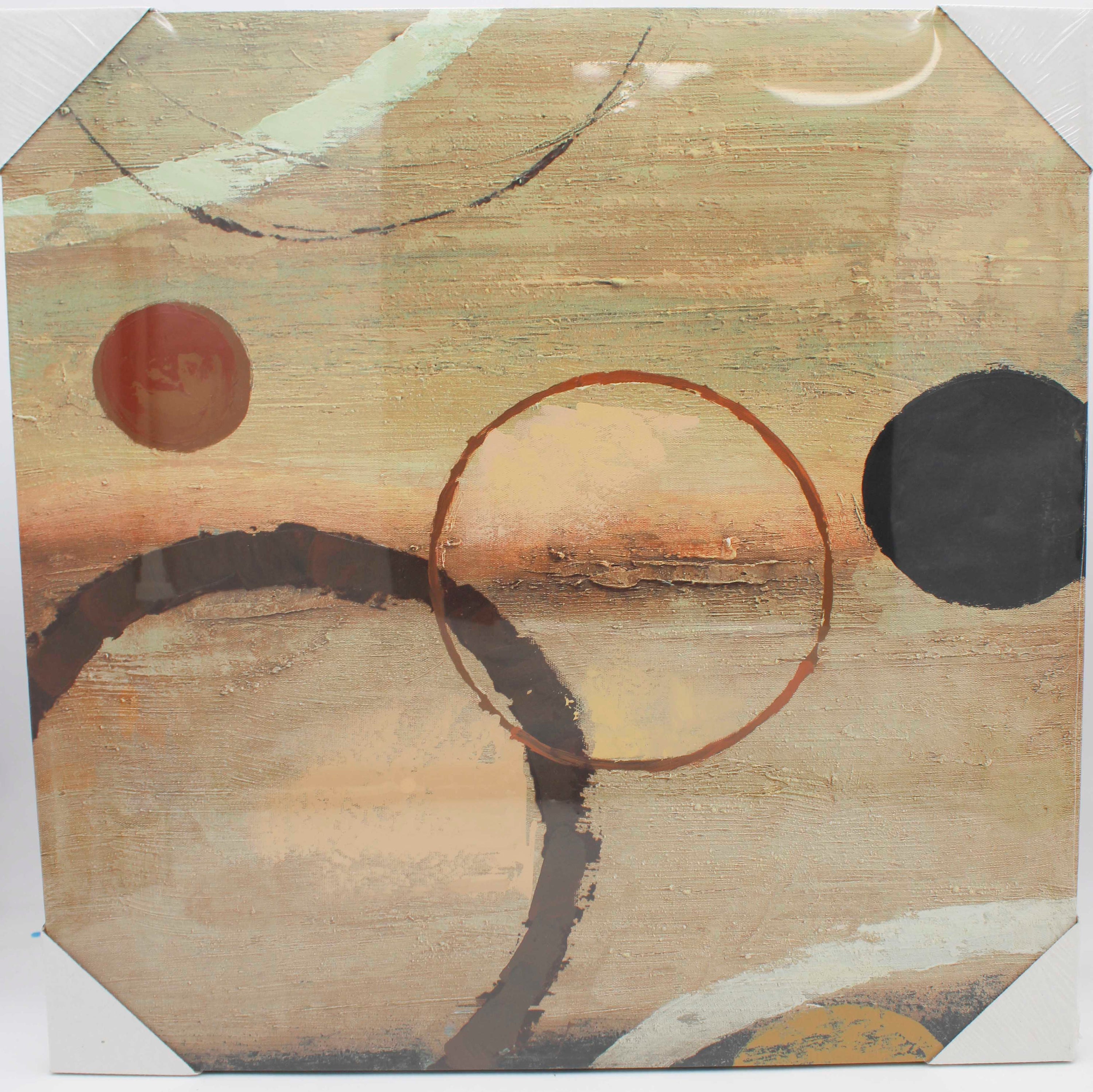 OPTICS CANVAS PRINT 20"L x 20"W