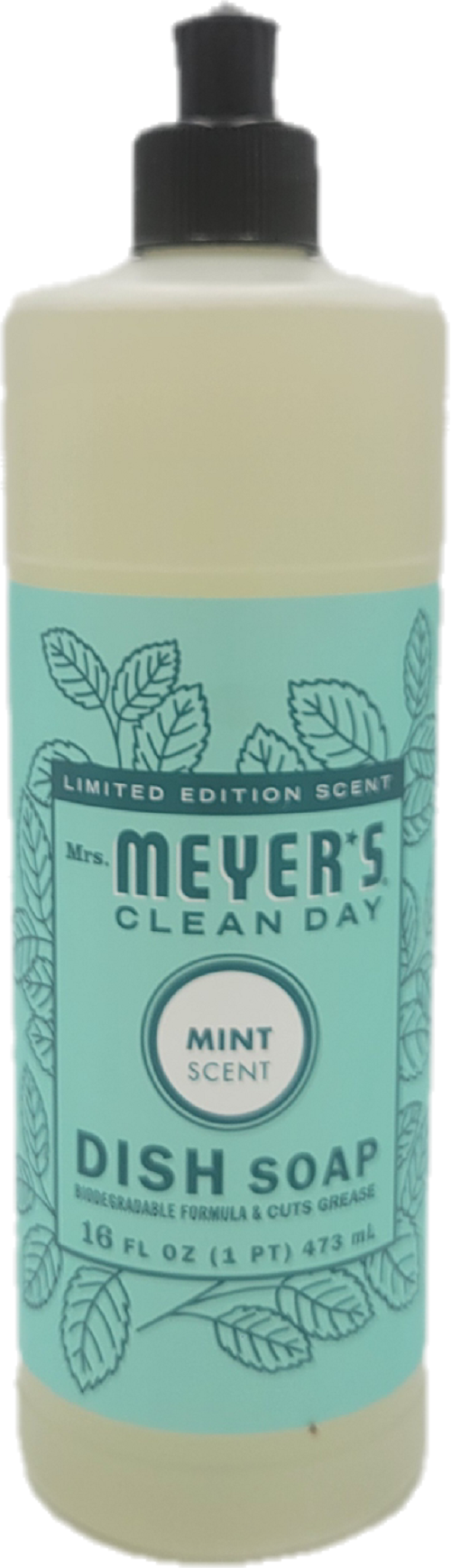 MMCD LiqDish Mint 16oz/3 US