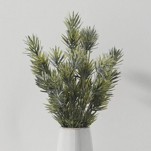 PODOCARPUS STEM 14"H x 9"Dia