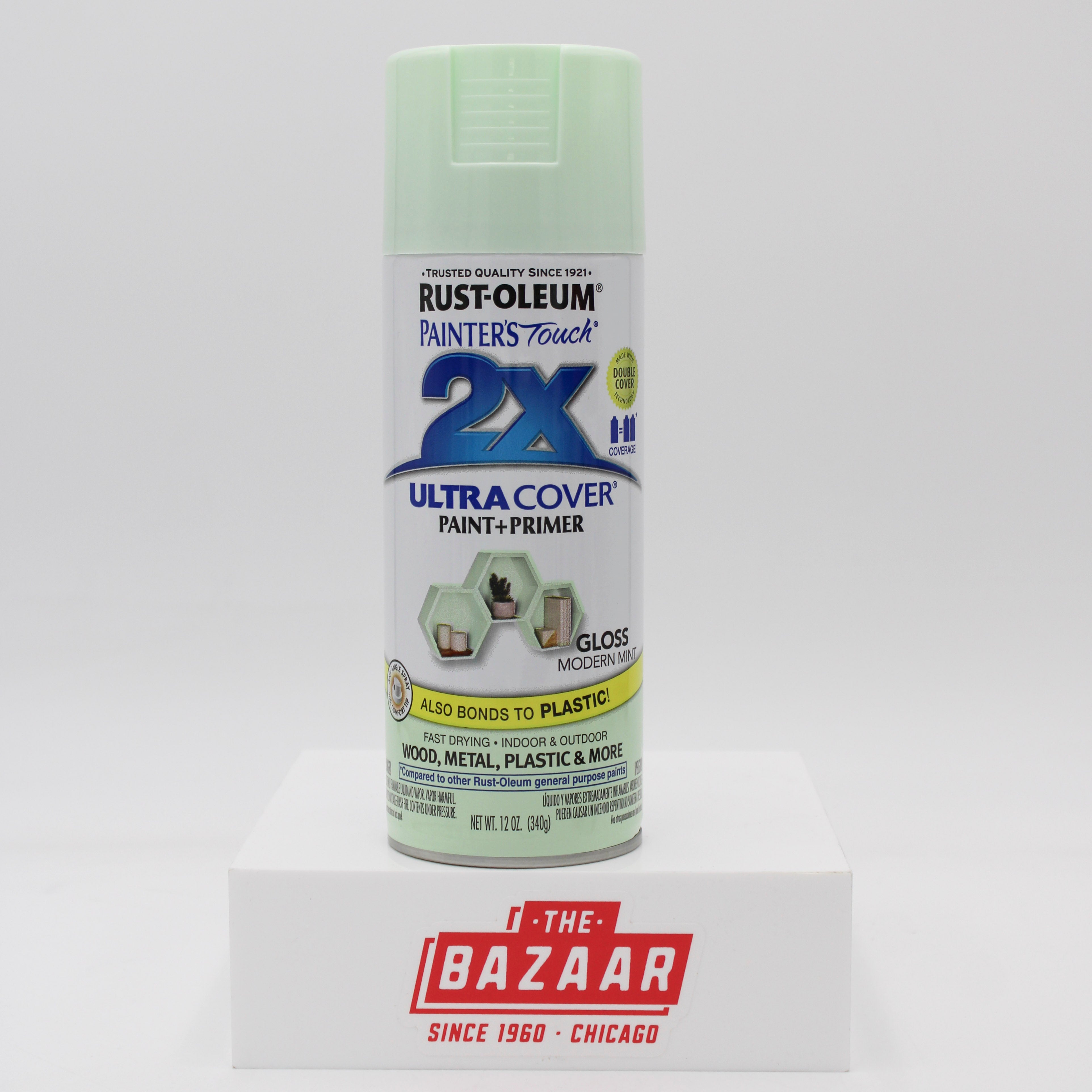 RUST-OLEUM PAINTER'S TOUCH SPRAY PAINT 12 oz. MODERN MINT NI