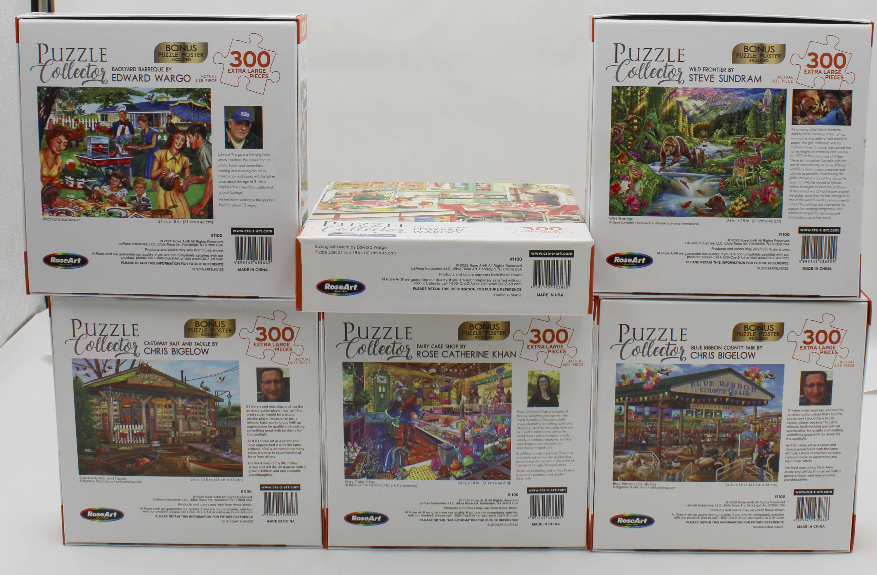 PUZZLE COLLECTOR 300PC ASST