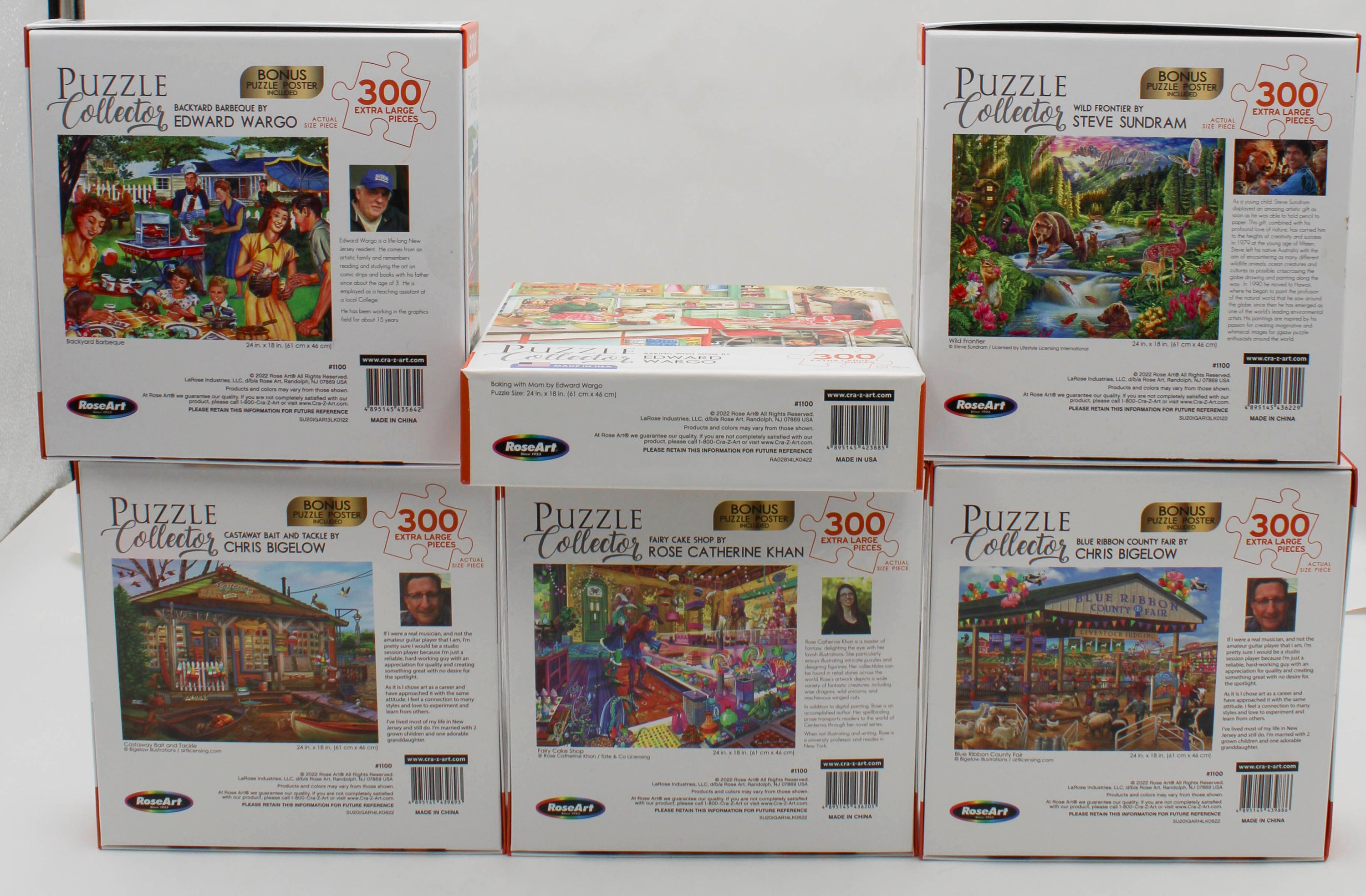 PUZZLE COLLECTOR 300PC ASST