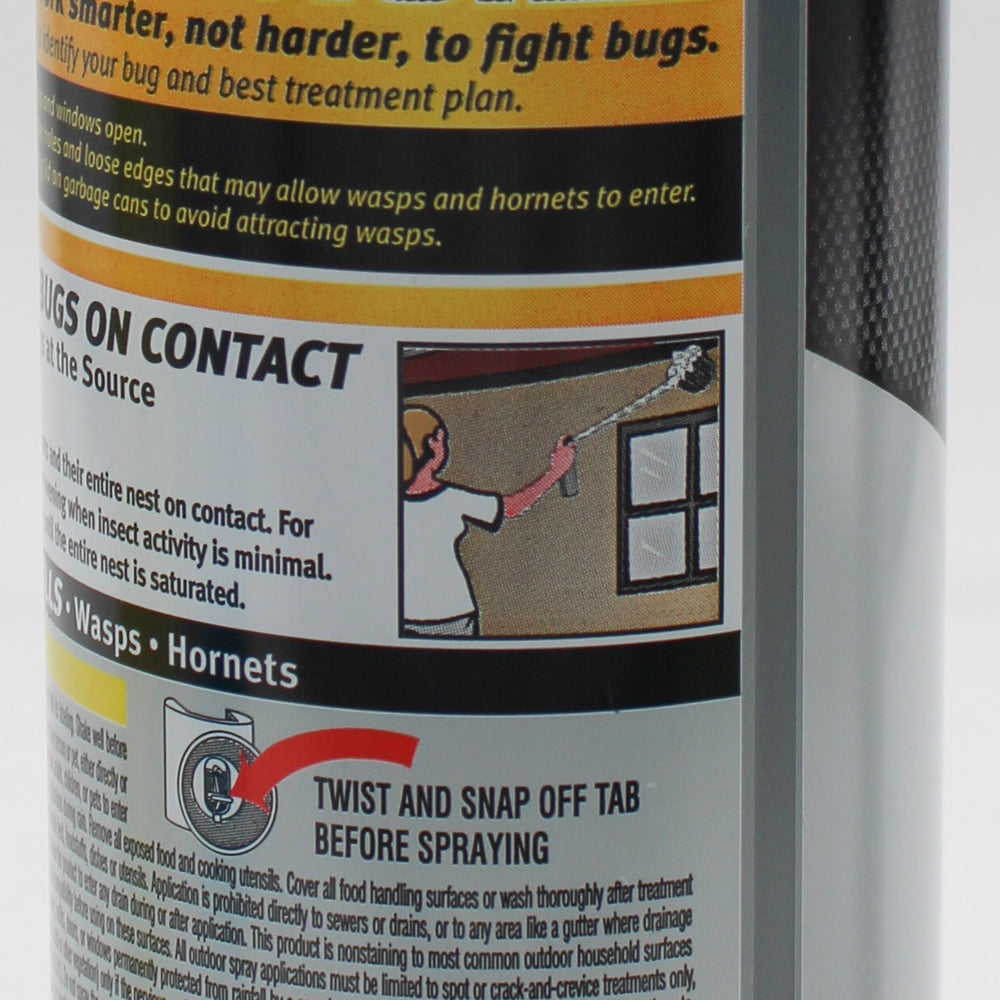SP RAID MAX FOAMING WASP & HORNET 16.5oz.