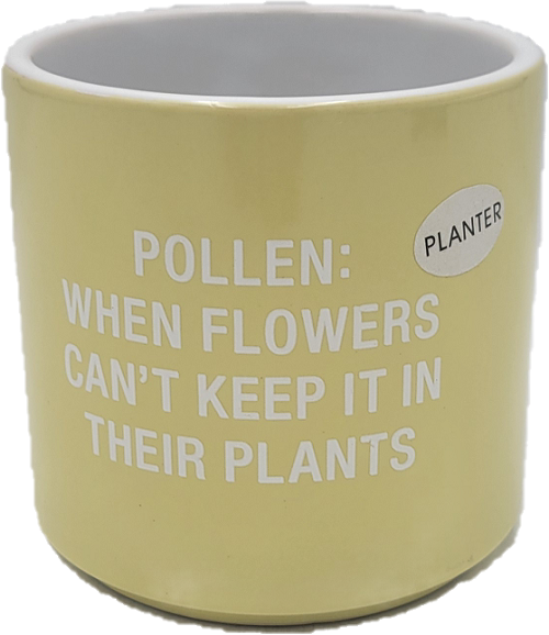 POLLEN SMALL PLANTER