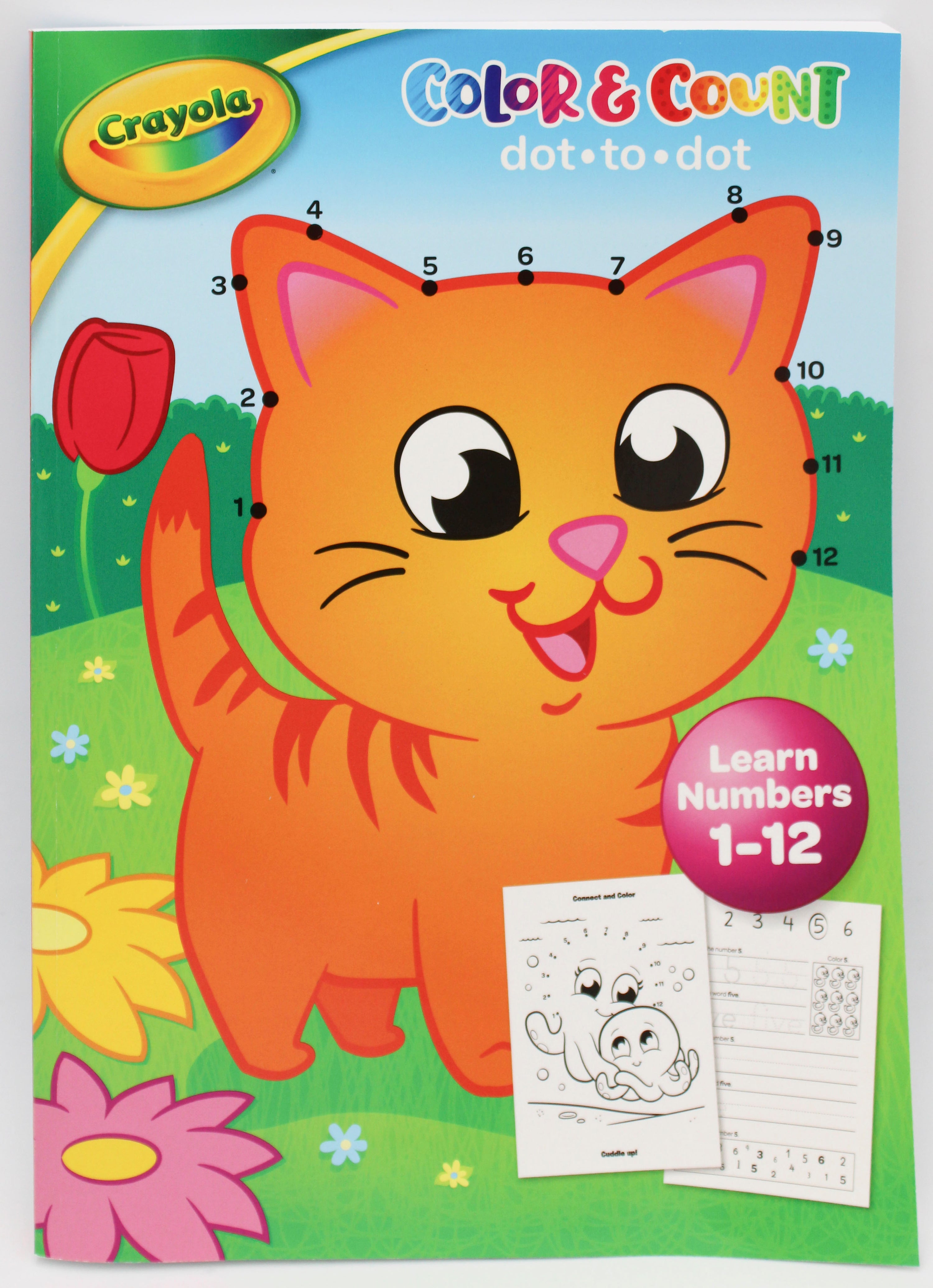 CRAYOLA: COLOR & COUNT PAPERBACK ACTIVITY BOOK 224PG PP$9.99