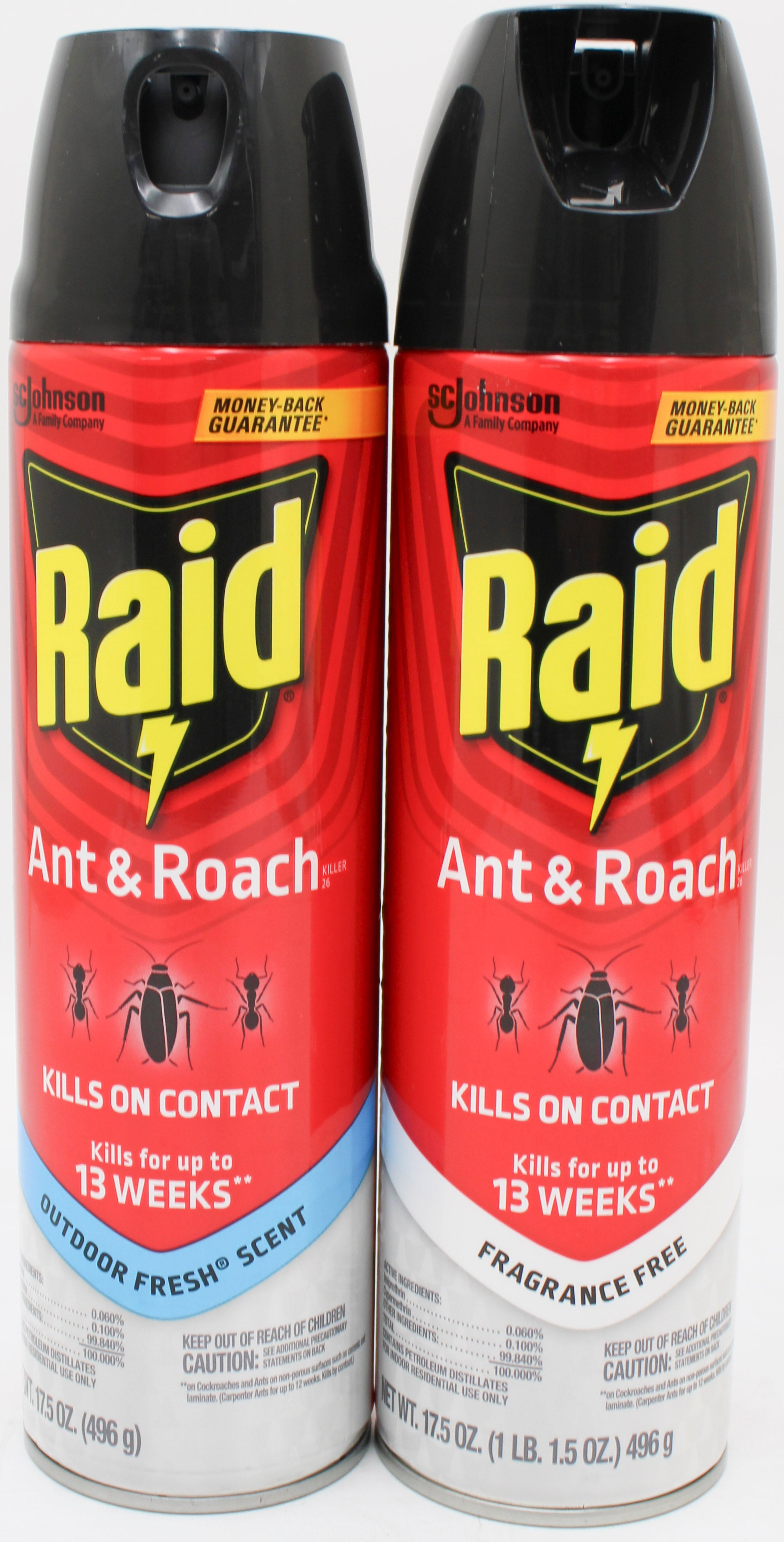 RAID ANT & ROACH KILLER ASSORTED AEROSOL PDQ NI