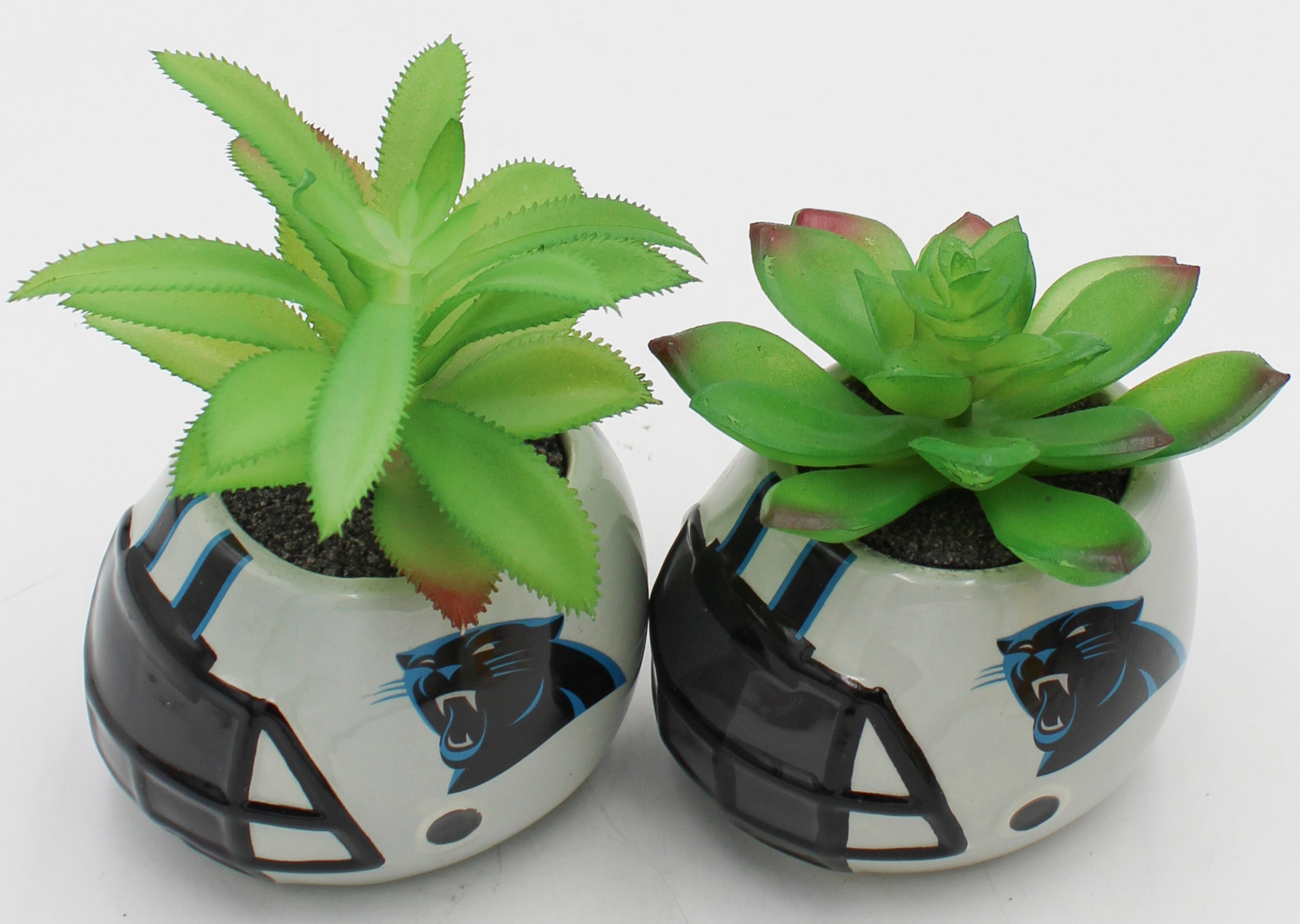 CAROLINA PANTHERS SMALL CERAMIC HELMET - WITH FAUX SUCCULENT