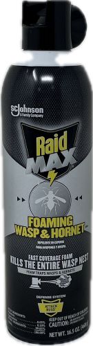 SP RAID MAX FOAMING WASP & HORNET 16.5oz-