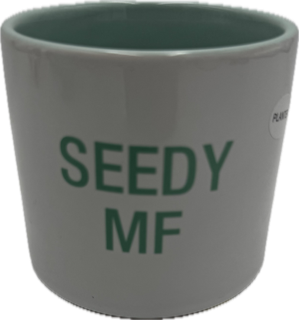 SEEDY MF SMALL PLANTER