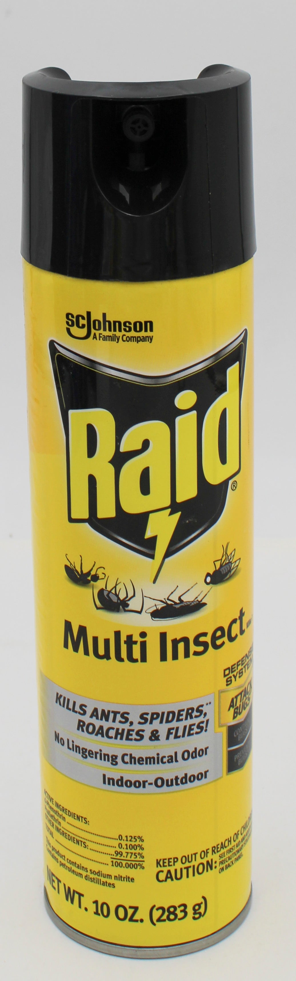 SP RAID MULTI INSECT KILLER 10oz INDOOR-OUTDOOR