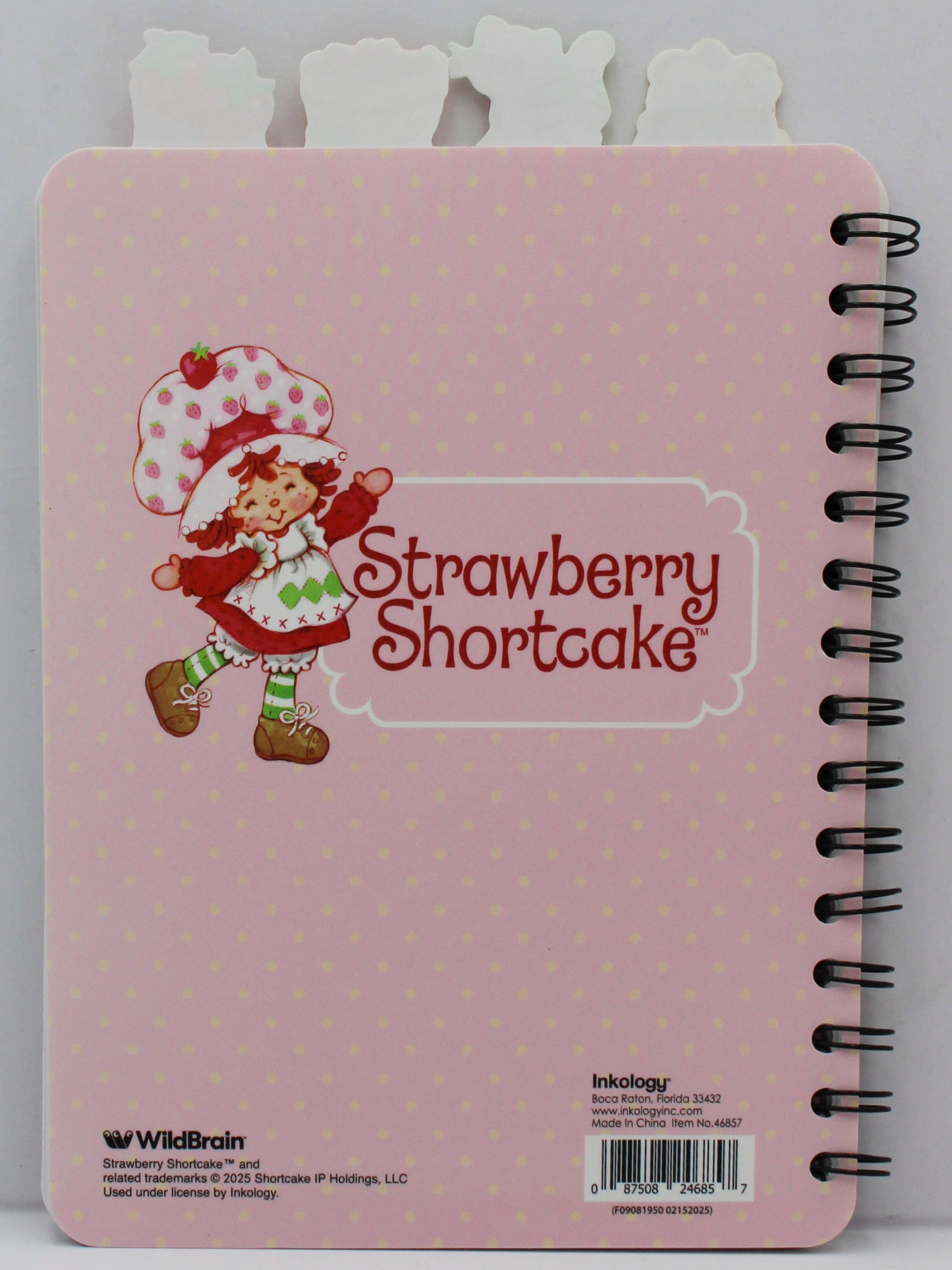 STRAWBERRY SHORTCAKE  6" X 8"  4 TAB JOURNAL