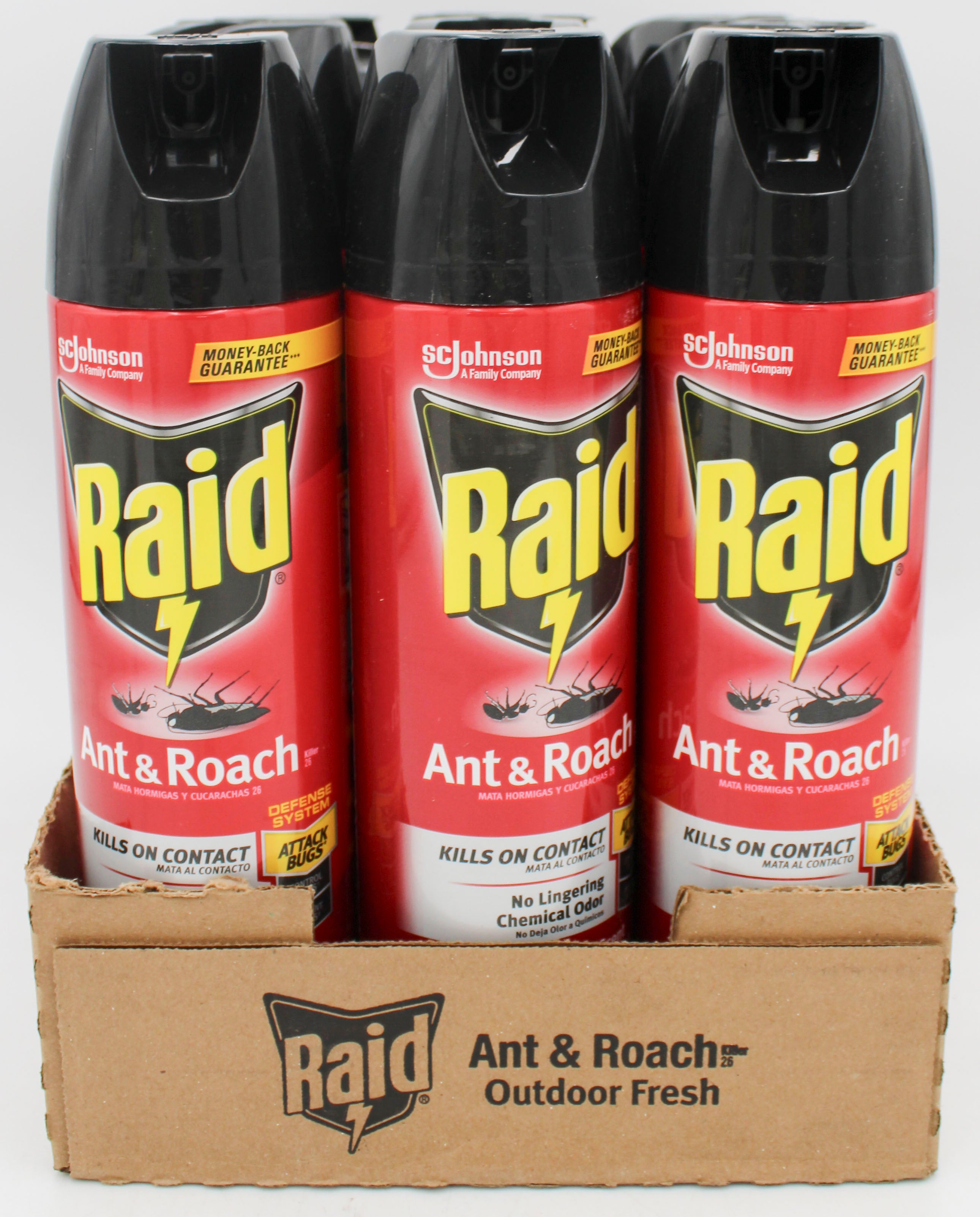 RAID ANT + ROACH AEROSOL OUTDOOR FRESH 17.5oz-