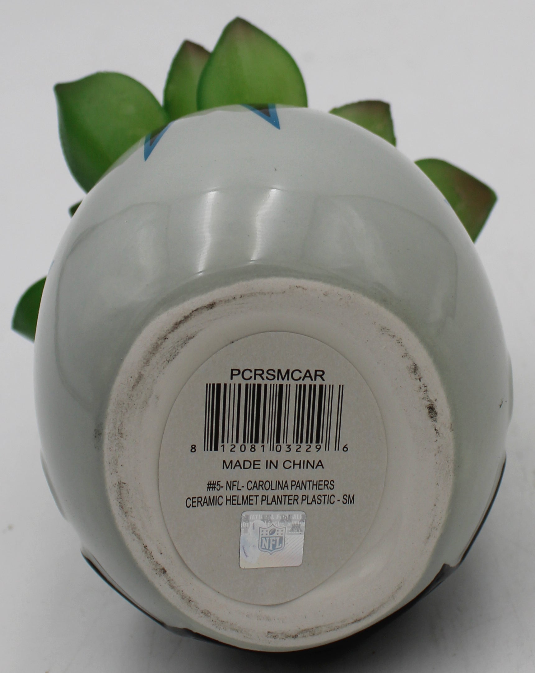 OFFICIALLY LICENCED CAROLINA PANTHERS SMALL CERAMIC HELMET - WITH FAUX SUCCULENT