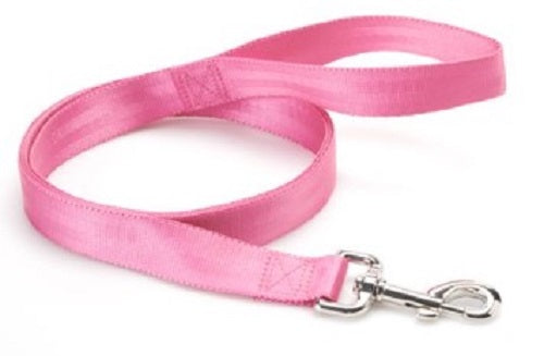VIBRANT LIFE  LARGE REFLECTIVE BONES LEASH PINK 6'
