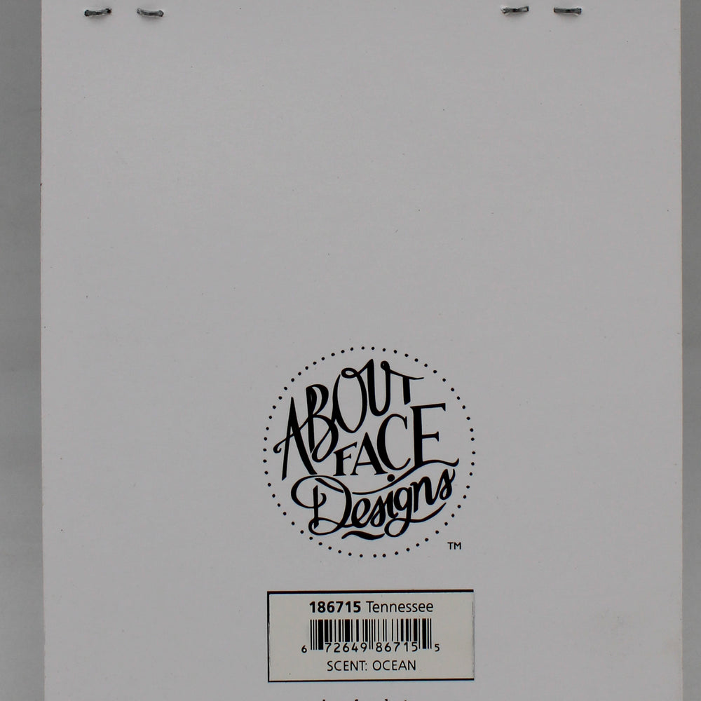 TENNESSE AIR FRESHENER 2pc