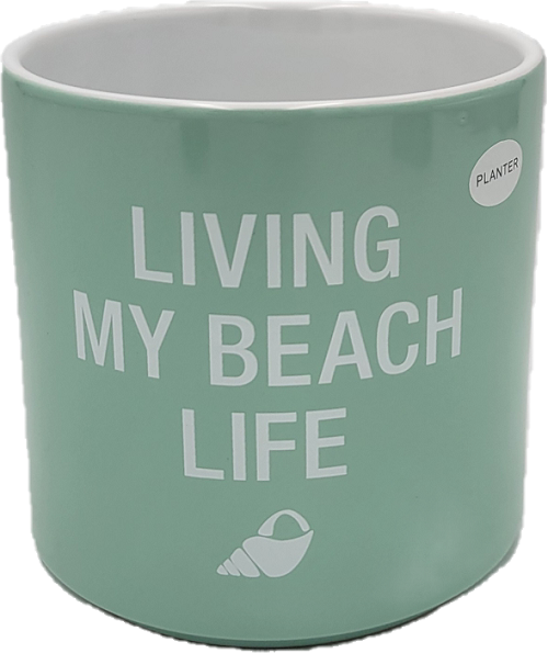 BEACH LIFE PLANTER