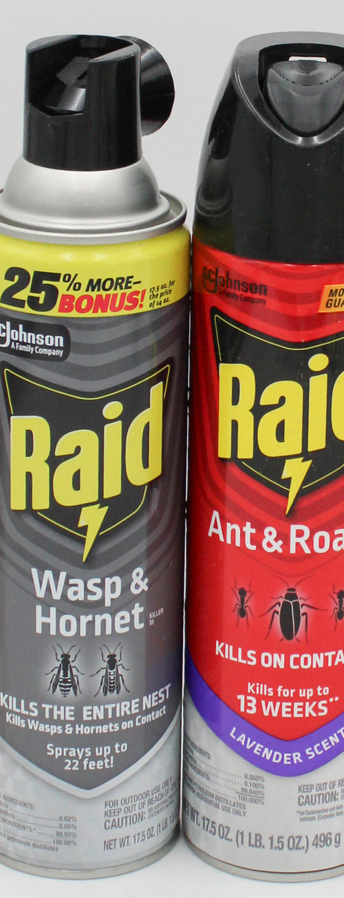 SP RAID ANT/ROACH/WASP & HORNET KILLER ANT BAITS ASST DSPLY