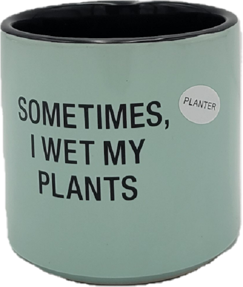 I WET MY PLANTS SMALL PLANTER