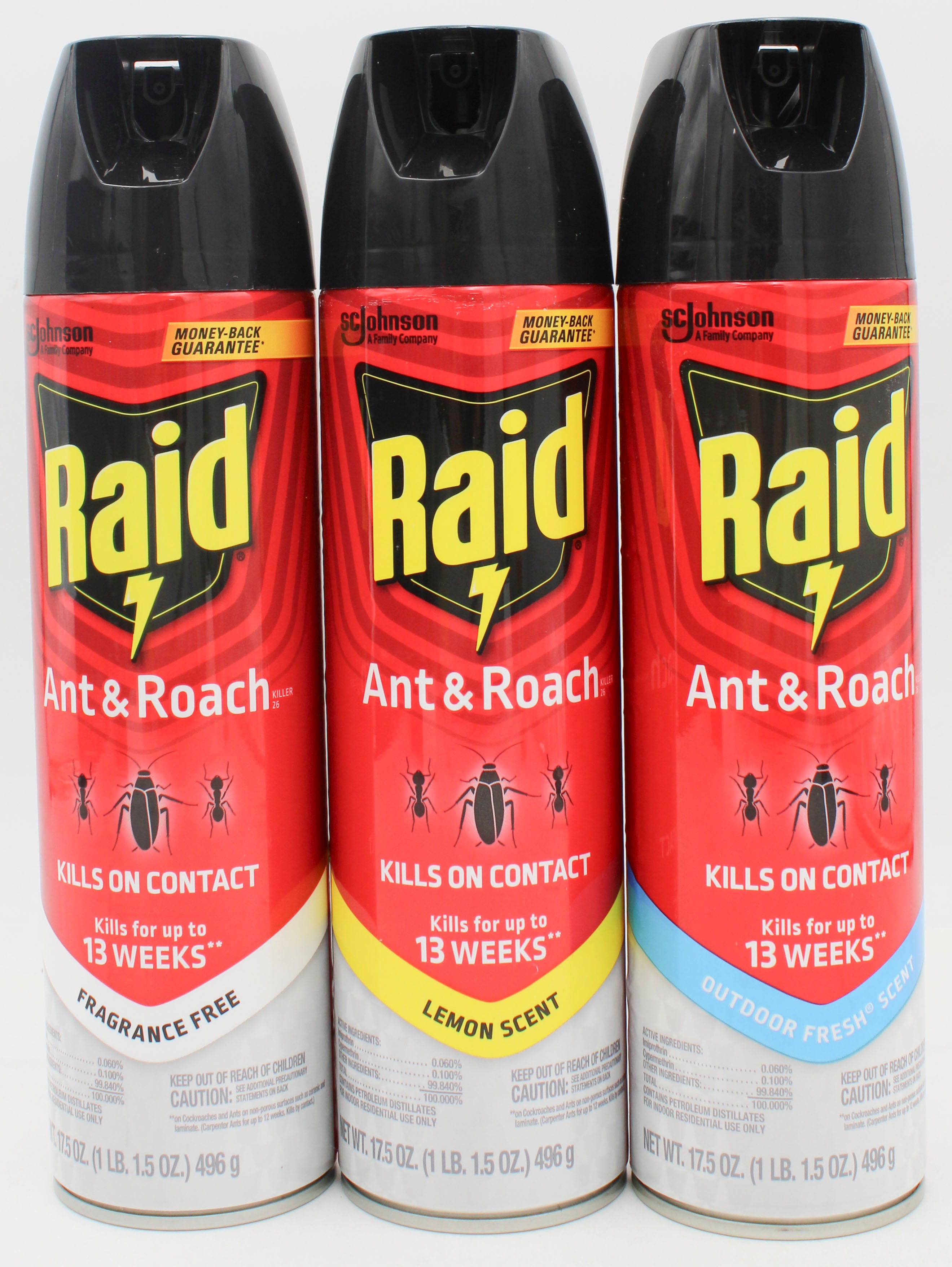 RAID ANT + ROACH AEROSOL - MIXED PPK