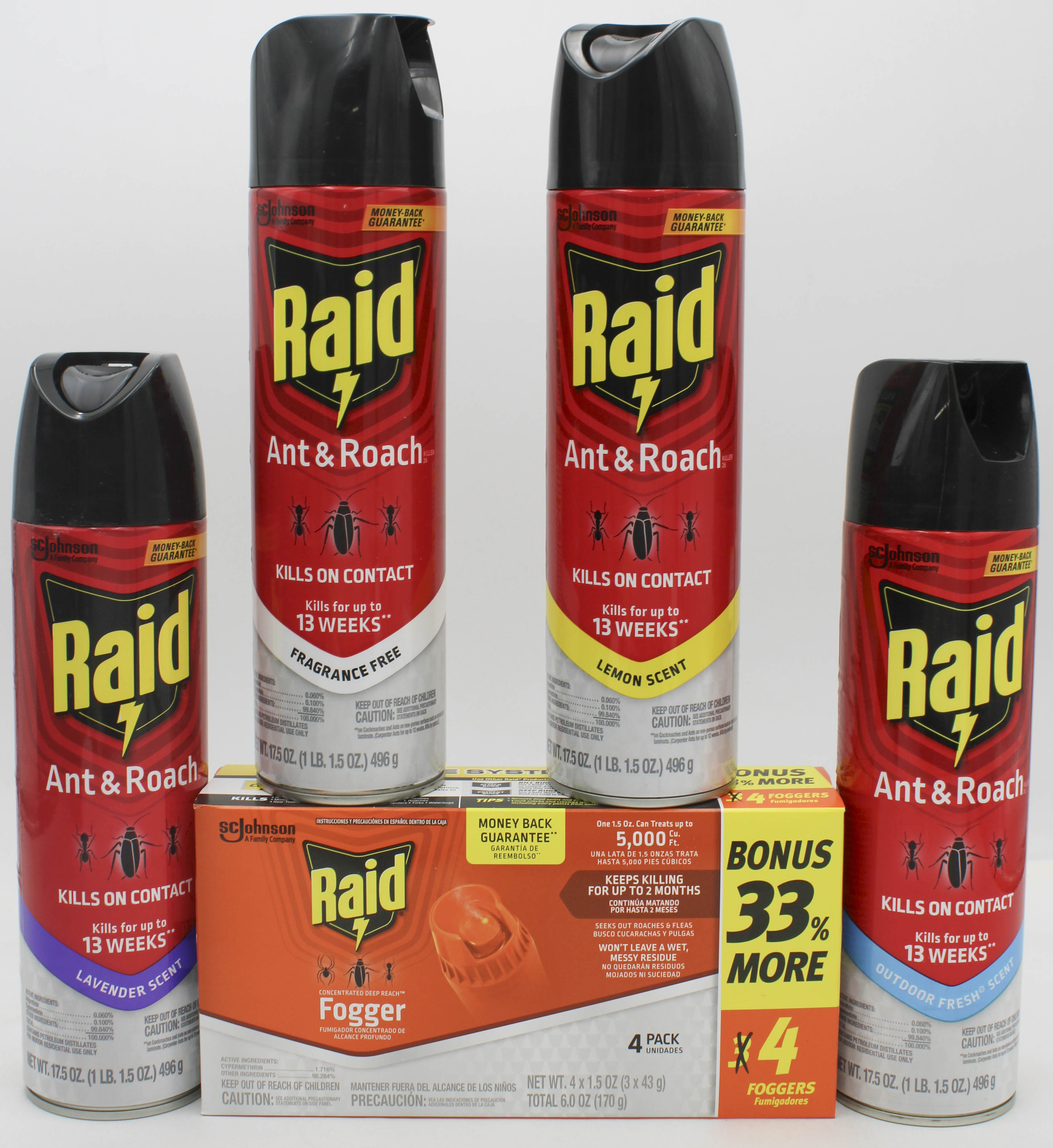 RAID ANT + ROACH AEROSOL MIXED PPK