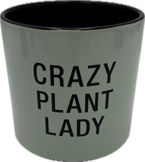 CRAZY PLANT LADY PLANTER