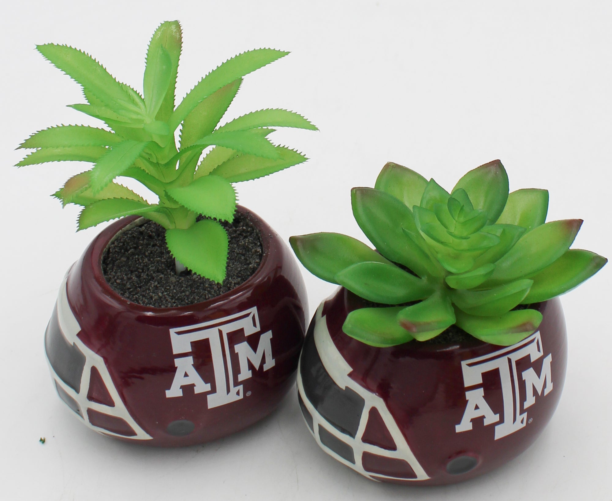 OFFICIALLY LICENCED TEXAS A&M AGGIES SMALL CERAMIC HELMET - WITH FAUX SUCCULENT