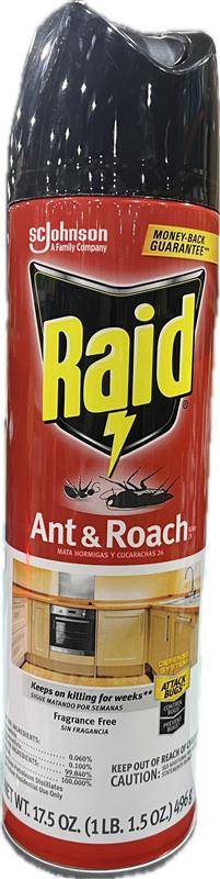 SP ANT/ROACH 17.5oz KILLER-UNSCENTED