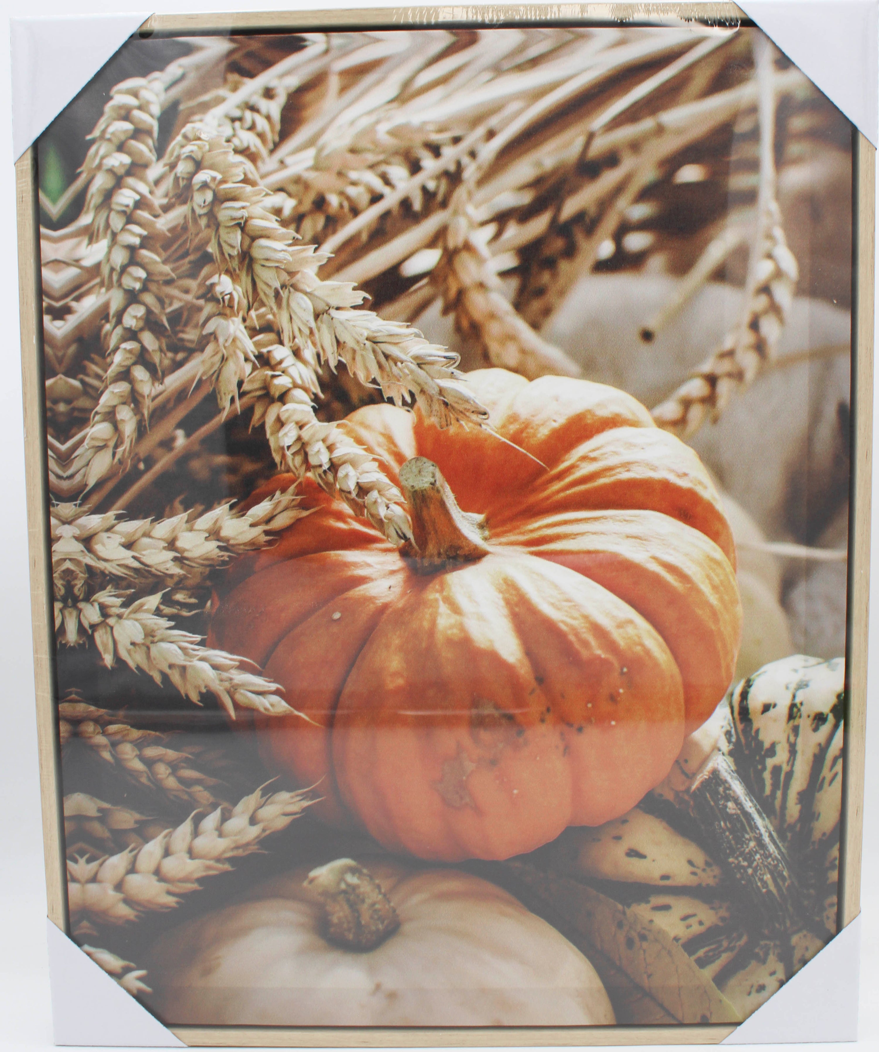 PUMPKINS FRAMED CANVAS PRINT 15.5"L x 19.5"H x 1.25"D